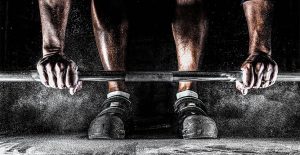 Mehr über den Artikel erfahren Praesent libro se cursus ante
